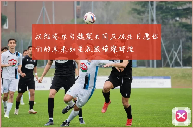 祝维塔尔与魏震共同庆祝生日愿你们的未来如星辰般璀璨辉煌