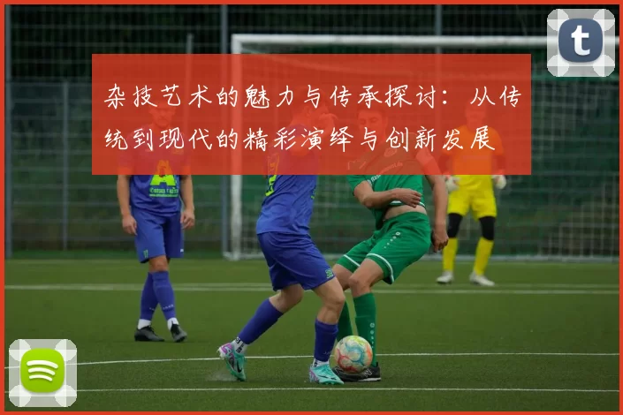 杂技艺术的魅力与传承探讨：从传统到现代的精彩演绎与创新发展