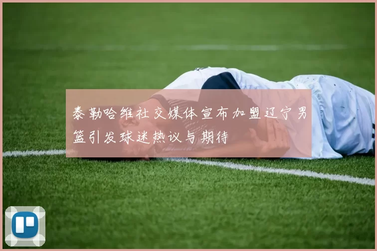 泰勒哈维社交媒体宣布加盟辽宁男篮引发球迷热议与期待